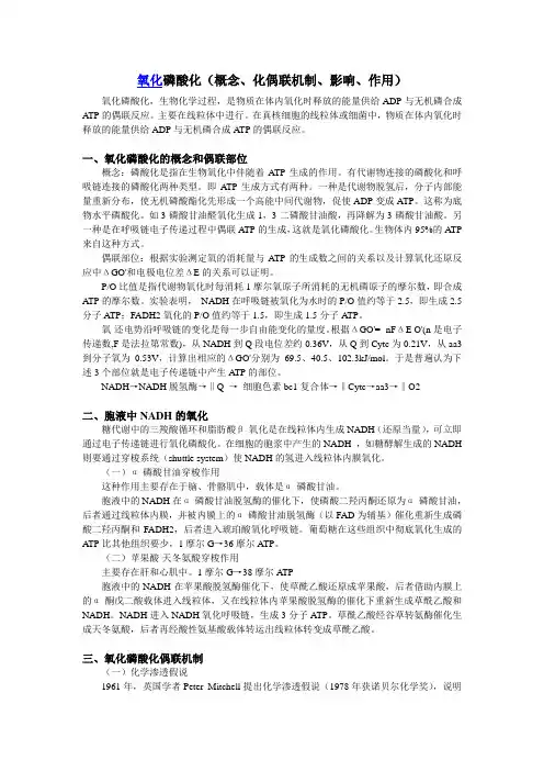 氧化磷酸化(概念、化偶联机制、影响、作用)