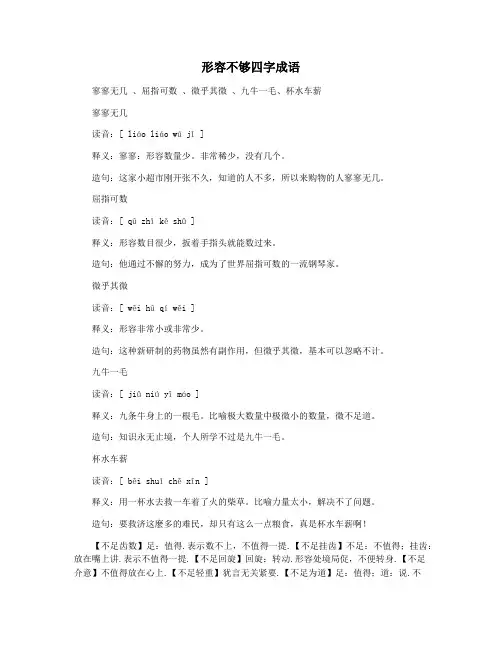 形容不够四字成语