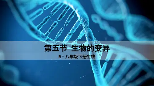 《生物的变异》PPT课件【精品】