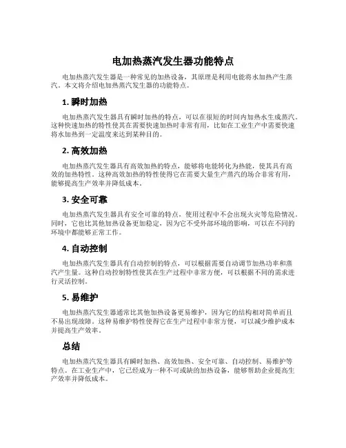 电加热蒸汽发生器功能特点