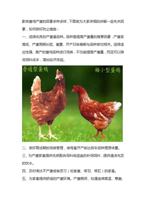 影响产蛋的因素