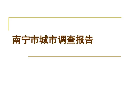 南宁市城市调查报告