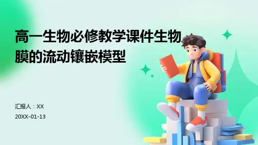 高一生物必修教学课件生物膜的流动镶嵌模型
