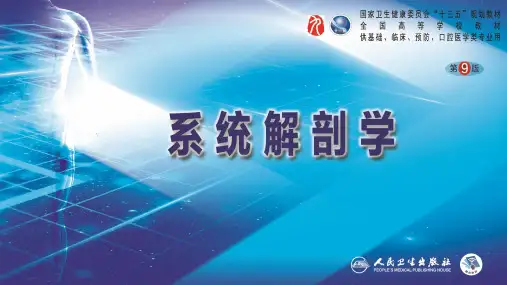 第九版系统解剖学 PPT课件 第七章 泌尿系统 
