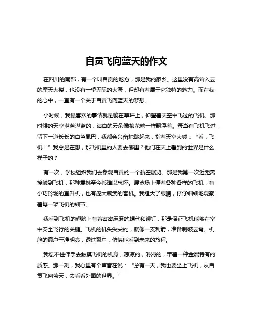 自贡飞向蓝天的作文