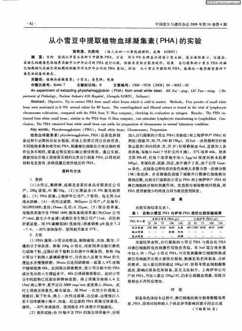 从小雪豆中提取植物血球凝集素(PHA)的实验