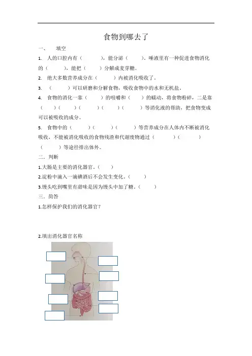 食物到哪里去了