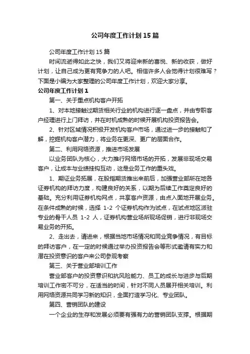 公司年度工作计划15篇