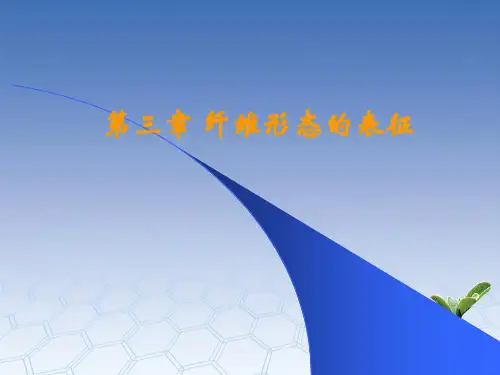纤维形态的表面形式和特征