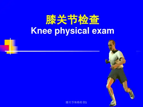 膝关节体格检查11 ppt课件
