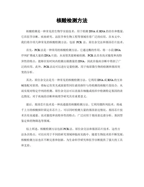 核酸检测方法