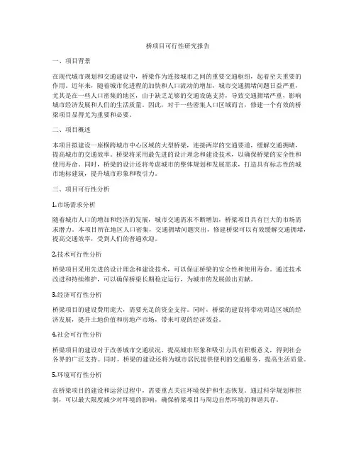 桥项目可行性研究报告