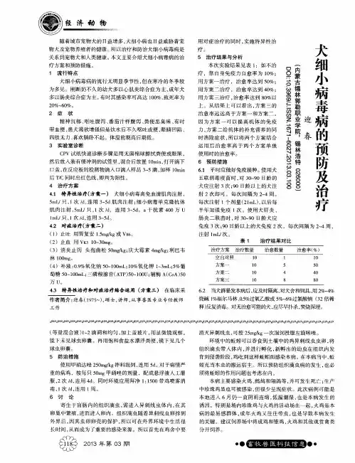 犬细小病毒病的预防及治疗