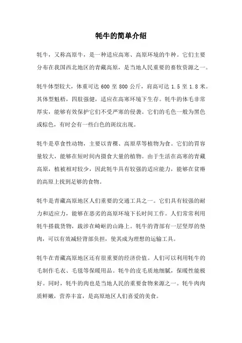 牦牛的简单介绍