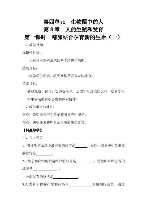 苏教版生物七年级下册《精卵结合孕育新的生命》第1课时 学案