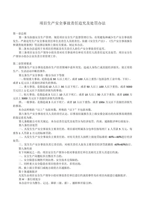 项目生产安全事故责任追究及处罚办法