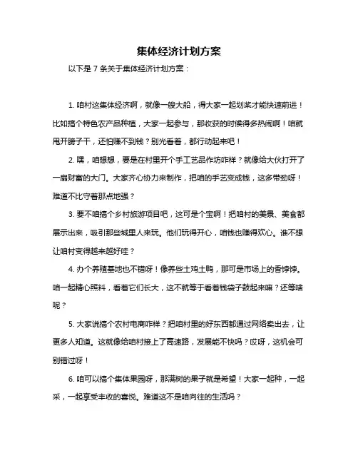 集体经济计划方案
