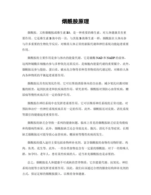 烟酰胺原理