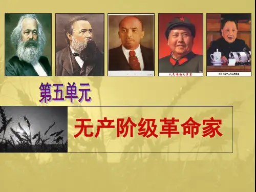 无产阶级革命家