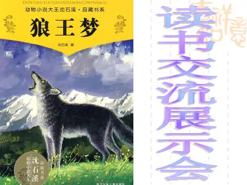 《狼王梦》读书交流会幻灯片