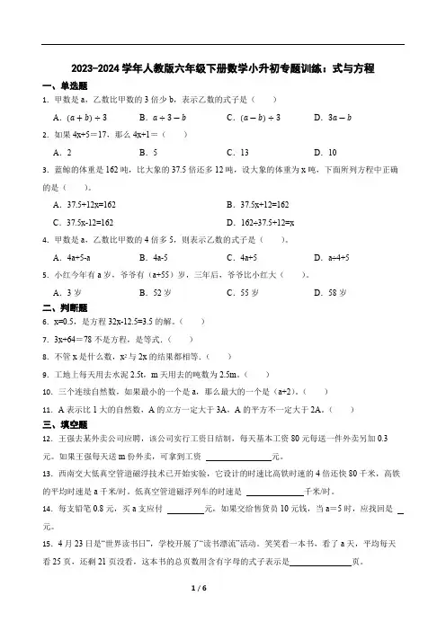 2023-2024学年人教版六年级下册数学小升初专题训练：式与方程(含答案)