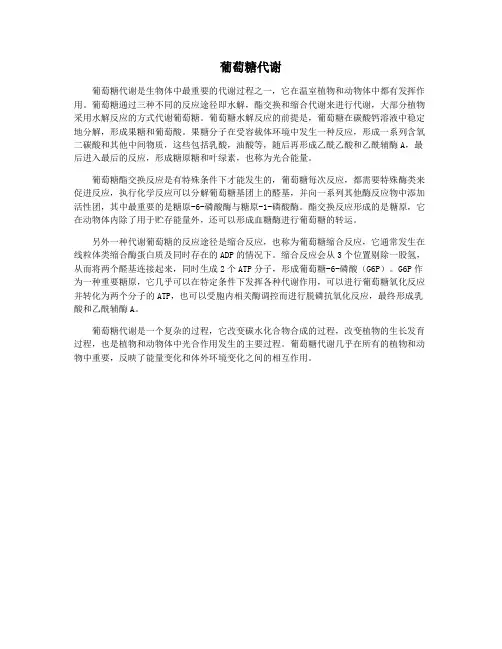 葡萄糖代谢