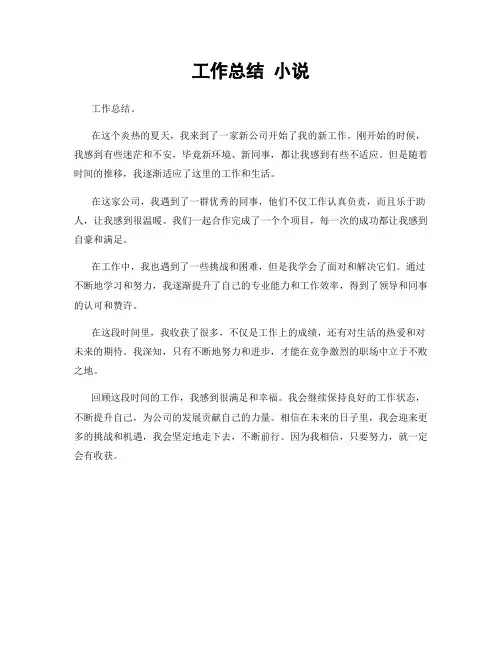 工作总结 小说