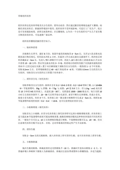 草莓组织培养