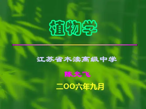 第三章  第四节  营养器官间的相互关系及营养器官的变态