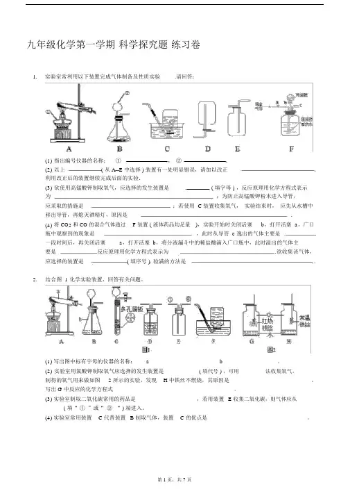 (完整版)初中化学科学探究题练习卷.doc