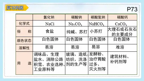 11-1-2 生活中的盐--第二课时