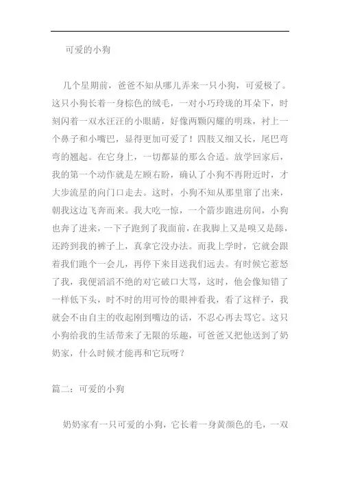 可爱的小狗作文