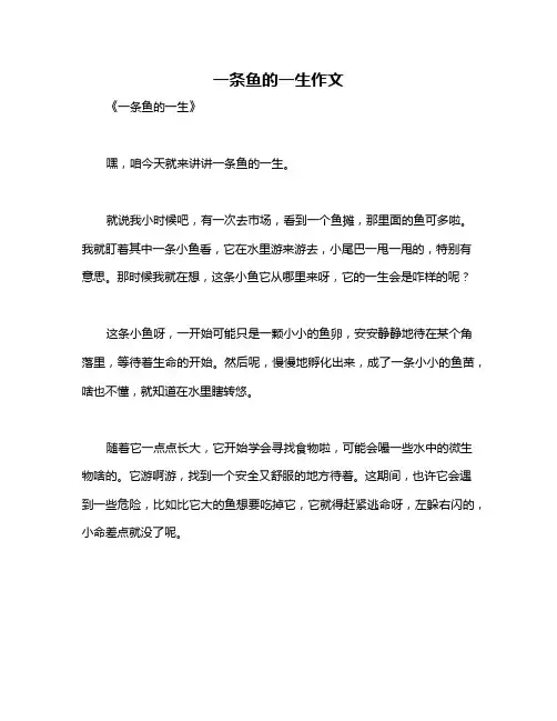 一条鱼的一生作文