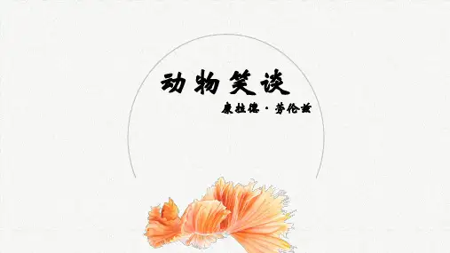 17课《动物笑谈》课件