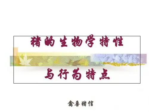猪的生物学特性与行为特点-PPT课件