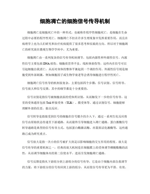 细胞凋亡的细胞信号传导机制