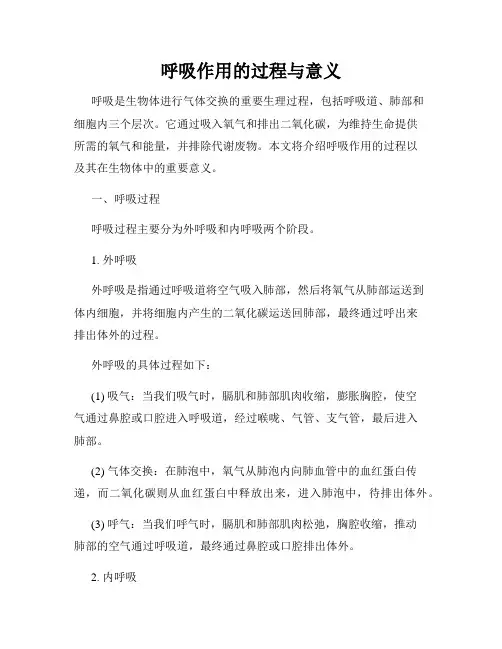呼吸作用的过程与意义