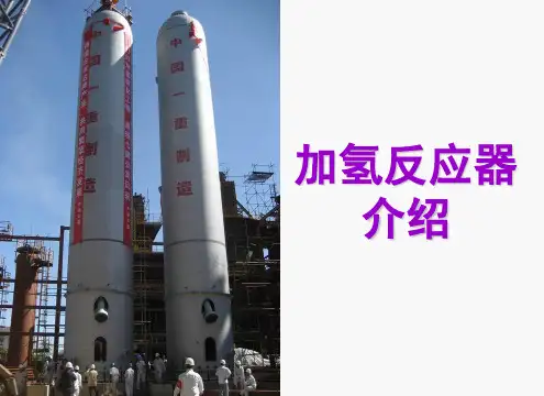 【清华】加氢反应器介绍