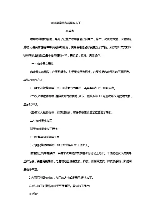 咖啡果实采收与果实加工
