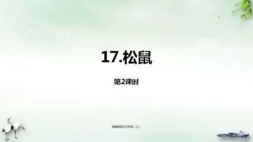 《松鼠》PPT演示课件(共22页)