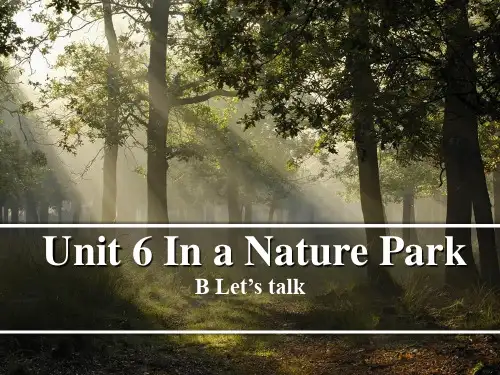 人教版小学英语五年级上册Unit 6 B Let's talk