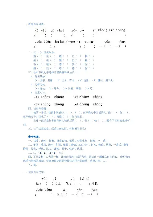 六年级语文桃花心木练习题10