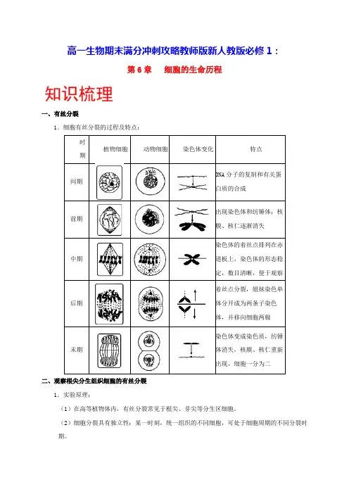 高一生物期末满分冲刺攻略第6章细胞的生命历程教师版新人教版必修1(含答案)