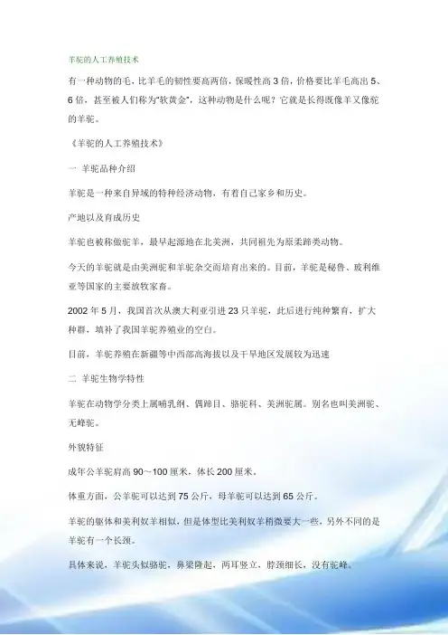 羊驼的人工养殖技术