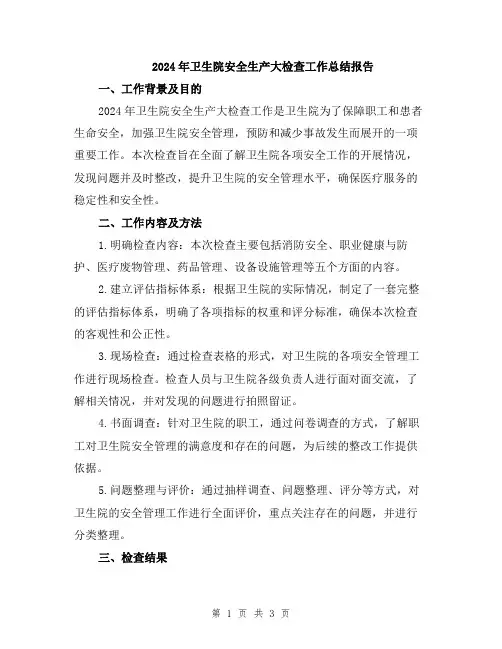 2024年卫生院安全生产大检查工作总结报告