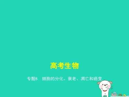 高考生物一轮复习专题8细胞的分化、衰老、凋亡和癌变ppt课件全省公开课一等奖