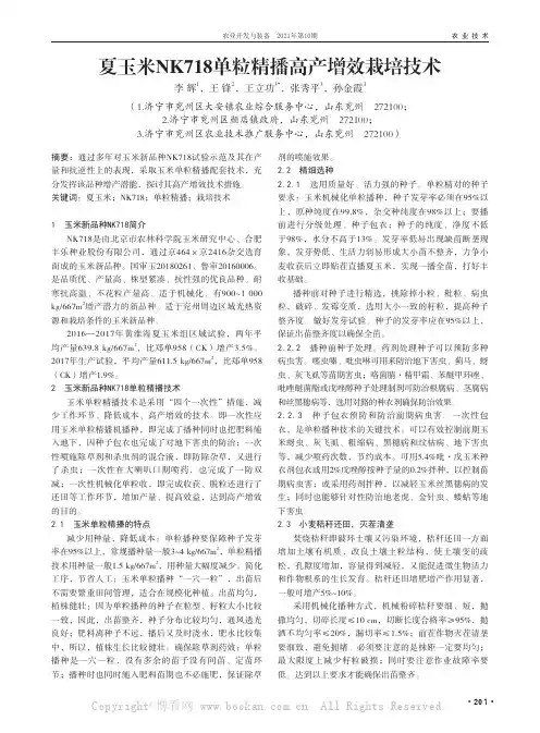 夏玉米NK718单粒精播高产增效栽培技术
