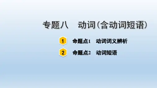 中考英语复习专题八 动词(含动词短语)