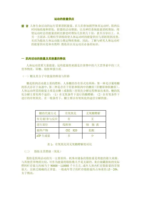 运动的能量供应
