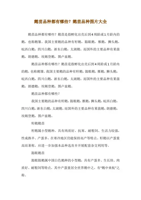 鹅苗品种都有哪些？鹅苗品种图片大全